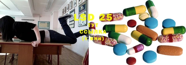 ГАЛЛЮЦИНОГЕННЫЕ ГРИБЫ Белокуриха