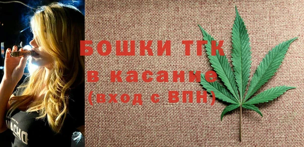 индика Белоозёрский