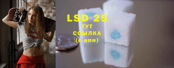 индика Белоозёрский