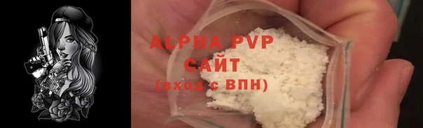 ГАЛЛЮЦИНОГЕННЫЕ ГРИБЫ Белокуриха