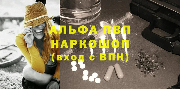 ГАЛЛЮЦИНОГЕННЫЕ ГРИБЫ Белокуриха