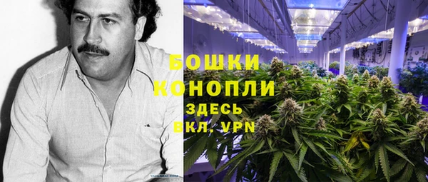 индика Белоозёрский