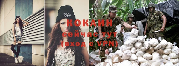 индика Белоозёрский
