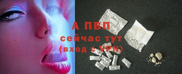 ГАЛЛЮЦИНОГЕННЫЕ ГРИБЫ Белокуриха