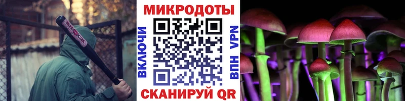 купить  сайты  Буинск  Псилоцибиновые грибы MAGIC MUSHROOMS 